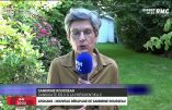 Folie verte avec Sandrine Rousseau qui veut instaurer le «délit de non-partage des tâches domestiques»