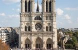 Zemmour appelle le RN, DF et les Républicains opposés à Macron à former une coalition pour battre la coalition des gauches et de Macron aux législatives