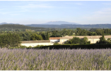Le monastère de Taulignan et ses tisanes bio en pleine Provence !