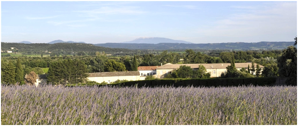 Le monastère de Taulignan et ses tisanes bio en pleine Provence !