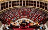 Second tour des Législatives : défaite de Macron, et une certaine victoire du RN