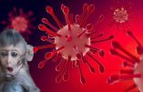 La variole du singe n’est pas une « urgence sanitaire mondiale » : Résistez à la campagne de peur de l’Organisation mondiale de la santé