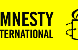 Le rapport d’Amnesty International qui accuse l’Ukraine : le droit humanitaire international violé par son armée