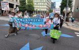 Les catholiques japonais se mobilisent contre l’avortement
