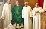 Les chiens peuvent servir la messe, sous le pontificat de François l’apostat…