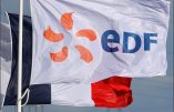 La renationalisation d’EDF : une escroquerie de plus ?