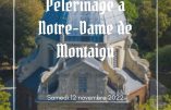 Civitas Belgique vous invite le samedi 12 novembre 2022 à son pèlerinage à Notre-Dame de Montaigu