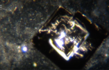 Un médecin australien a rendu public des images microscopiques d’objets non identifiés qui semblent “s’auto-assembler” à partir du contenu de l’injection COVID de Pfizer