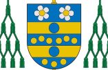 Virtus in infirmitate perficitur – Homélie de Mgr Carlo Maria Viganò pour le Dimanche de la Sexagésime
