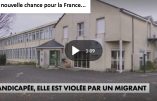Une femme handicapée violée par un migrant africain dans un parc de Mauges-sur-Loire dans le Maine-et-Loire