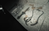 Les vidéos des découvertes d’ossements humains, de lambeaux de peau et de scalpels dans un temple maçonnique