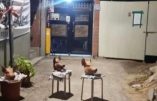 Les habitants de la ville de Daegu, en Corée du Sud, en révolte contre la construction d’une mosquée