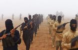 L’activité terroriste djihadiste augmente au Maghreb et au Sahel