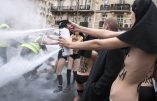 La Cour de cassation renvoie les Femen en correctionnelle pour leur attaque de la manifestation de Civitas en 2012