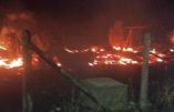 Des guérilleros mapuches attaquent une chapelle catholique au Chili et y mettent le feu