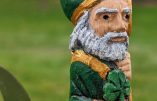 L’atelier d’Amaury vous souhaite une belle Saint Patrick !