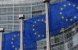 Les ministres des Affaires étrangères de l’UE incapables de s’entendre sur des mesures concrètes concernant l’Ukraine lors du sommet de Copenhague