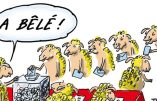 Les Français ont obéi docilement comme des moutons qu’on mène à l’abattoir : c’était il y a déjà trois ans…