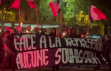 Colère de Darmanin après une manifestation nationaliste paisible à Annecy