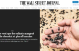 En Suisse, des enfants poussés à manger des insectes, explique le Wall Street Journal