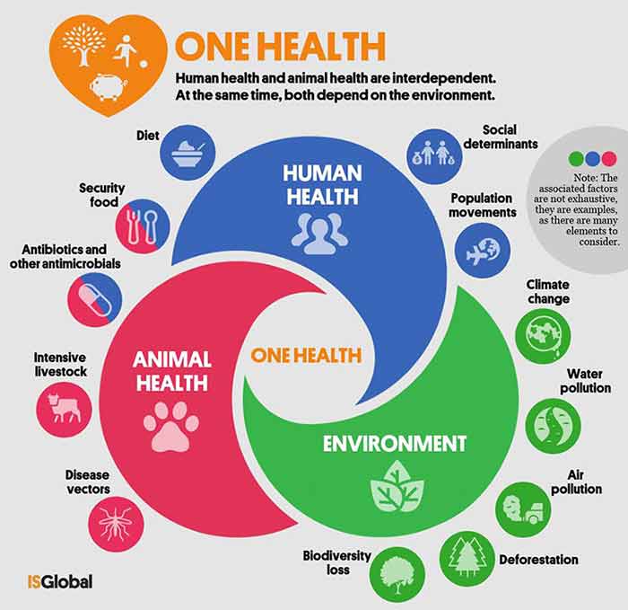 Programme One Health de l'OMS