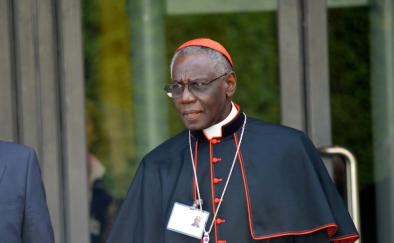 Le Cardinal Sarah s'oppose à l'ordination des femmes proposée au synode