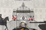 Carrousel de Saumur les 14 et 15 juillet 2023