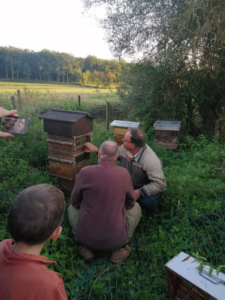 Explications sur les ruches et le travail des abeilles