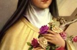 Dimanche 24 septembre – En France Solennité de sainte Thérèse – Dix-septième dimanche après la Pentecôte – La Bienheureuse Vierge Marie de la Merci – Saint Pacifique de San Sévérino, Confesseur, o.f.m.