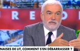 Pascal Praud signalé pour avoir demandé s’il y avait un lien entre invasion de punaises et immigration