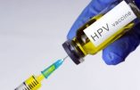 La vaccination contre le papillomavirus suspendue après la mort d’un collégien de Saint-Herblain, près de Nantes