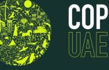 Le voyage de François à la COP28 annulé pour raison médicale