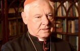 Cardinal Müller : la migration massive est utilisée pour détruire les identités nationales