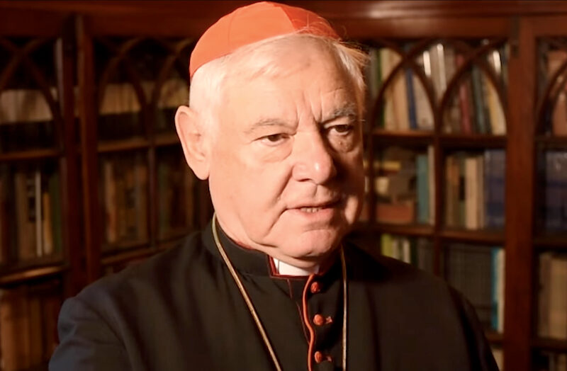 Cardinal Muller ; l'immigration pour détruire les nations