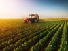 L'agriculture, cible des mondialistes
