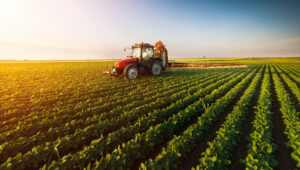 L'agriculture, cible des mondialistes