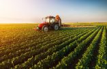 Plan mondialiste : tuer l’agriculture pour « sauver la planète »