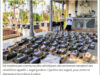 Jardin des anges : des cimetières dédiés aux fœtus avortés au Vietnam.