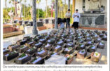 Jardin des anges : des cimetières dédiés aux fœtus avortés au Vietnam.
