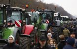Les agriculteurs allemands bloquent les routes et défient le gouvernement européiste du chancelier Olaf Scholz