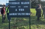 Des agriculteurs érigent un calvaire près de Lyon