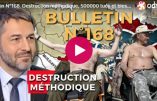 Bulletin N°168 – Centre d’Analyse Politico-Stratégique – Destruction méthodique, 500000 tués et blessés, kidnapping à l’ukrainienne – 11 janvier 2024