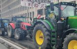 L’Union Européenne tue les agriculteurs européens et subventionne les cheikhs des Émirats