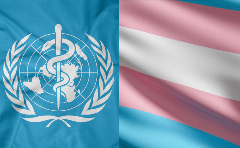 Plus de la moitié des experts en "santé trans" de l'OMS ont été mis en cause pour des conflits d'intérêts financiers