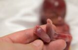 Les avortements atteignent des niveaux records en Irlande