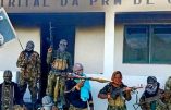 Les djihadistes intensifient leurs attaques dans le nord du Mozambique