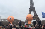 Sébastien Béraud sur les paysans trahis par les syndicats