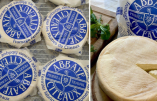 Abbaye de Cîteaux : 1000 fromages en exclusivité chez Divine Box