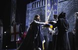 La Dame de Pierre : une magnifique ode aux vraies valeurs qui ont fondé la France. Un spectacle à voir absolument !