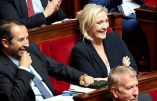 Un sondage commandé par les LR – et jamais publié – donne la majorité au Rassemblement national à l’Assemblée nationale